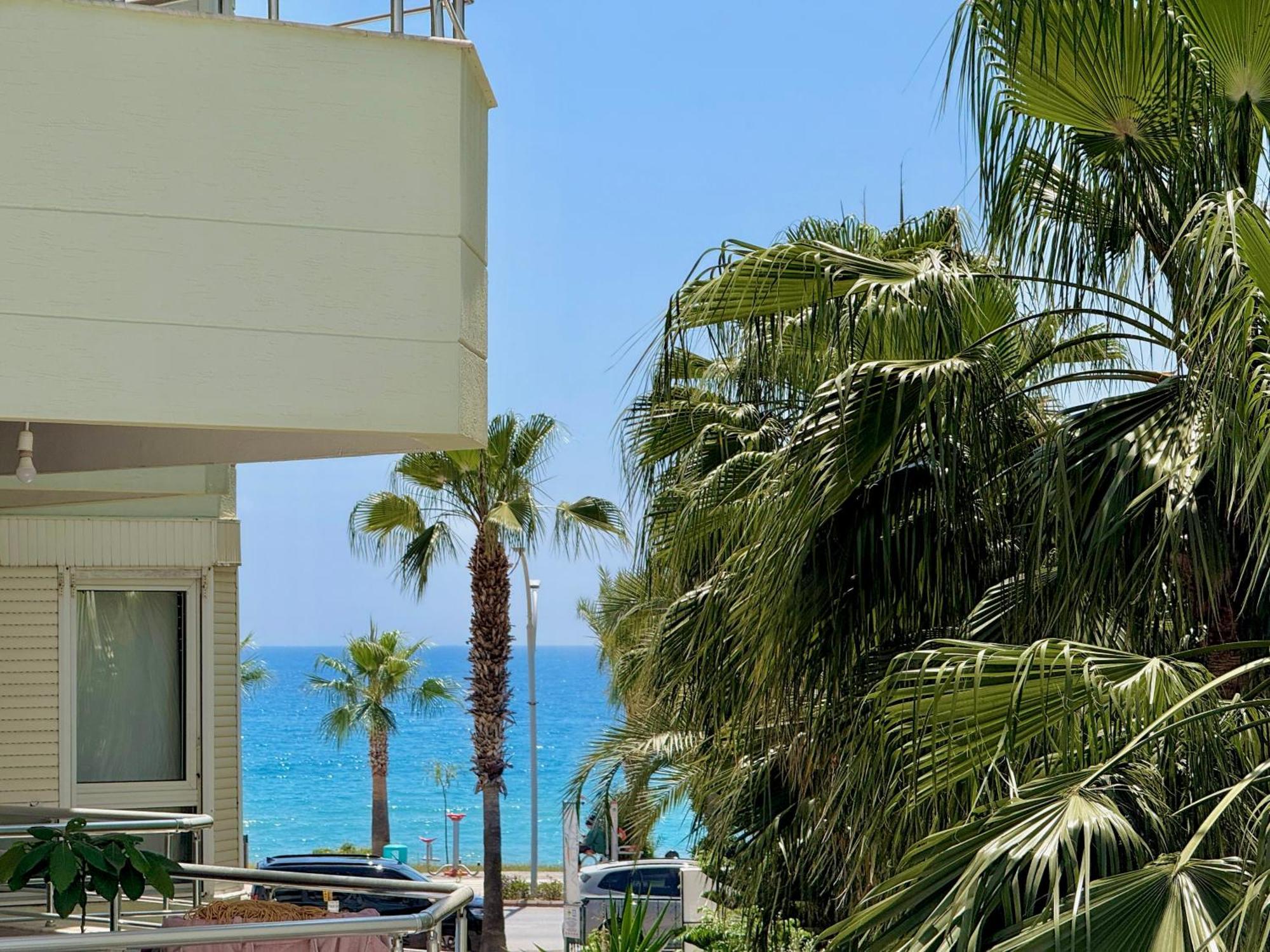 Sa Apartments! Beachfront Apartment With Sea View & Pool Alanya Eksteriør billede