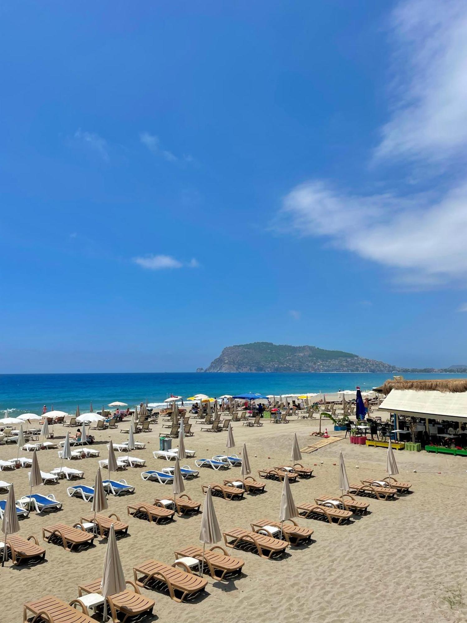 Sa Apartments! Beachfront Apartment With Sea View & Pool Alanya Eksteriør billede